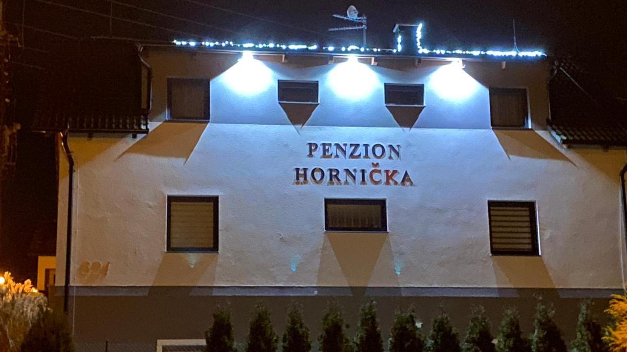 Penzion Hornicka チェスキー クルムロフ エクステリア 写真